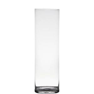 Hakbijl Glass Vaas - transparant - H50 x D15 cm - glas