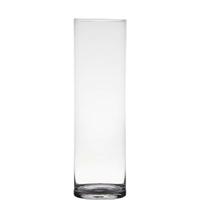 Hakbijl Glass Vaas - transparant - H50 x D15 cm - glas