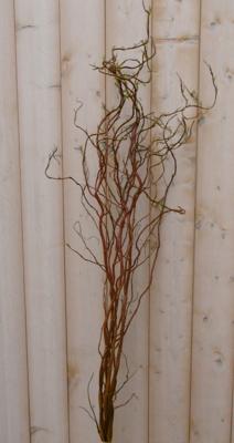 Paastak Warentuin Natuurlijk - Warentuin natuurlijk