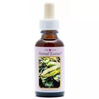 Animal Essences Snake (slang) 30 Milliliter