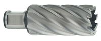 Metabo Accessoires HSS kernboor Ø 32x55 mm - 626541000 Metabo Accessoires HSS kernboor Ø 32x55 mm - 626541000