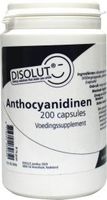 Disolut Anthocyanidinen (200 caps)