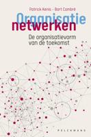 Organisatienetwerken (Paperback) Organisatienetwerken (Paperback)