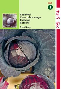 Rodekool Roodkop Cabeza Negra 2 - Hortitops