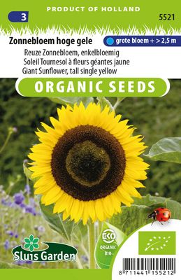Zonnebloem Hoge gele EKO