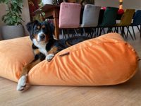 Dog's Companion® Hondenbed Peach velours - thumbnail