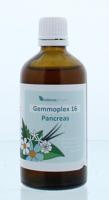 Balance Pharma HGP016 Gemmoplex pancreas