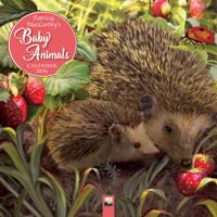 Beautiful Babies Kalender 2026