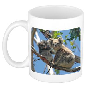 Foto mok koala beer mok / beker 300 ml - Cadeau koalaberen liefhebber