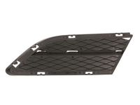 Ventilatiegrille, bumper 6502070062996PP