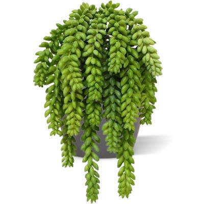 Sedum Donkey tail kunstplant 30cm