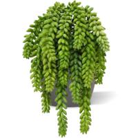 Sedum Donkey tail kunstplant 30cm Sedum Donkey tail kunstplant 30cm