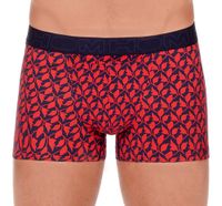 Hom boxershort Ho1 Gineste blauw print