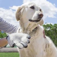 Handschoen om Huisdieren te Kammen en Masseren Relpet InnovaGoods