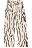 Garcia Broek Q260113-2082