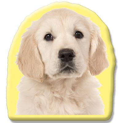 Kleur Voorzijde: - Pillow Buddies