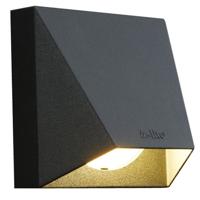 In-lite OpbouwspotWedge Dark 12 volt LED - 10301750