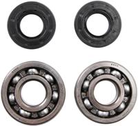 ALL BALLS Racing Crankshaft bearing set ab 24-1006 with simmerrings