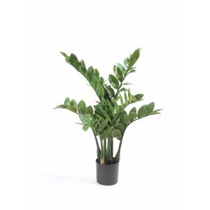 Kunstplant Zamioculcas/kamerpalm 70 cm