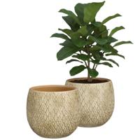 Mica decorations Bloempot / plantenpot Madeira - 2x - creme - terracotta - 14 cm - schubbenpatroon