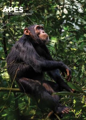 Apen A3 Kalender 2026