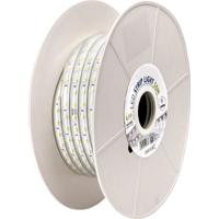LED Strip 50m - IP65 Waterdicht - Koud Wit 6500K - 230V 5050 SMD
