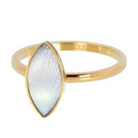 iXXXi Vulring Impression Goud