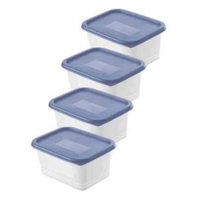 Rotho Domino Diepvriesdozen Etiket Decor 4x0.75L Horizon Blauw/Wit Rotho Domino Diepvriesdozen Etiket Decor 4x0.75L Horizon Blauw/Wit