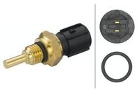 Temperatuursensor 6PT009107511