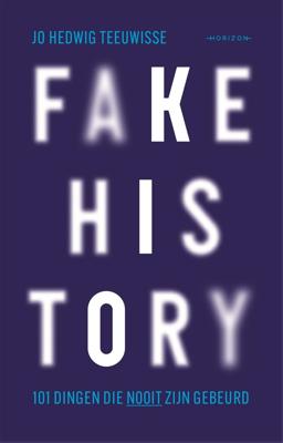 Fake history (Paperback)
