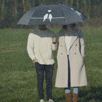 Esschert Design paraplu voor 2 personen - lovebirds - 128.5 x 96.5 x 73.5 cm   - - thumbnail