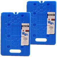 Koelelementen plat - 2x - kunststof - 20 x 2 x 30 cm - blauw