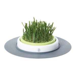 Catit Senses Grass Garden Kit