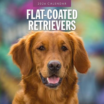 Flatcoated Retriever Kalender 2026