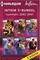 Intiem e-bundel nummers 2042-2047 - Maya Banks, Heidi Betts, Wendy Warren, Heidi Rice, Nicola Marsh, Day Leclaire - ebook