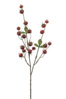 Rosehip spray red 78 cm - Emerald
