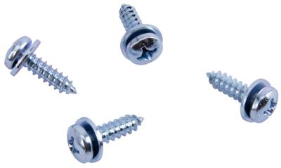 Dresselhaus kentekenplaatschroef tapping screws 5.5x19 4 pcs. in a bag