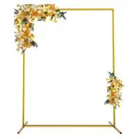 Backdrop Goud - 1.5x2m (rechthoek) Backdrop Goud - 1.5x2m (rechthoek)