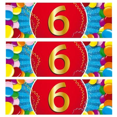 6 jaar leeftijd sticker - 10x - 19 x 6 cm - verjaardag - jubileum - versiering