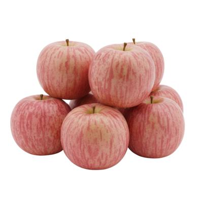 Kunstfruit decoratie appels - 6x stuks - ongeveer 9 cm - rood - fruitschaal decoratie