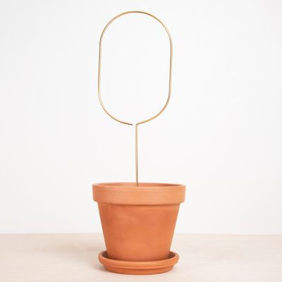 Plantensteun Pin