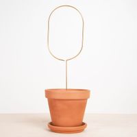 Plantensteun Pin