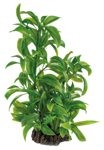 Superfish Art Plant 25cm Dracaena - Natuurgetrouwe Kunstplant voor Aquarium Decor