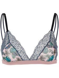 Dolci Follie soutien-gorge Butterfly - Bleu