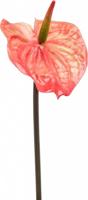 Anthurium spray orange 65 cm kunstbloem zijde nepbloem - Emerald
