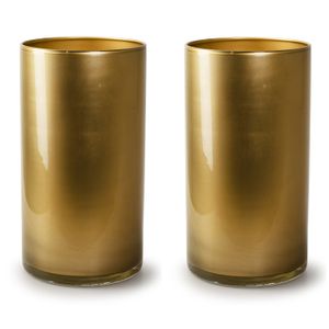 2x Stuks Bloemenvazen - cilinder model glas - metallic goud - H30 x D15 cm