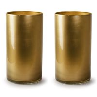 2x Stuks Bloemenvazen - cilinder model glas - metallic goud - H30 x D15 cm