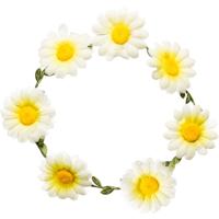 Carnaval verkleed krans Hippie - Madeliefjeskrans - wit/geel - dames - Flower Power Carnaval verkleed krans Hippie - Madeliefjeskrans - wit/geel - dames - Flower Power