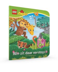 Wie zit daar verstopt? (Hardback)
