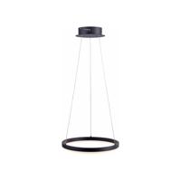 Paul Neuhaus Zwarte hanglamp Titus Ø 40cm 2381-13 - thumbnail